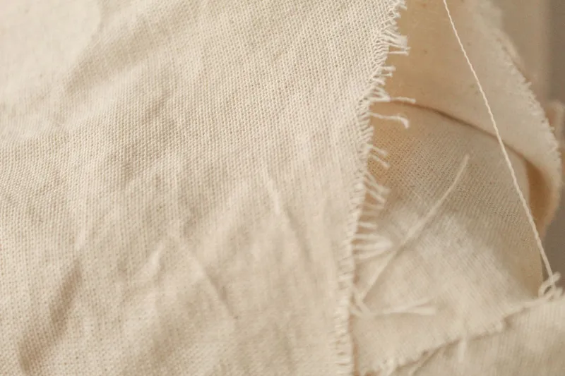 L'intelligence du toucher : quand les Parisiennes choisissent la fibre avant le label